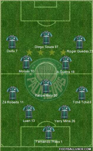 SE Palmeiras Formation 2017