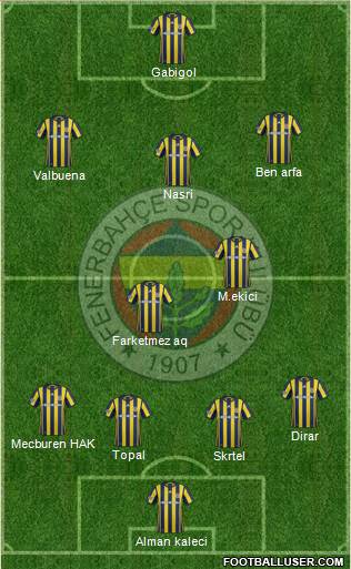Fenerbahçe SK Formation 2017
