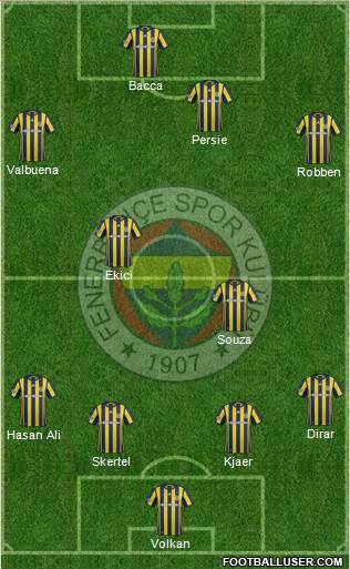 Fenerbahçe SK Formation 2017