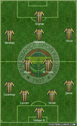 Fenerbahçe SK Formation 2017