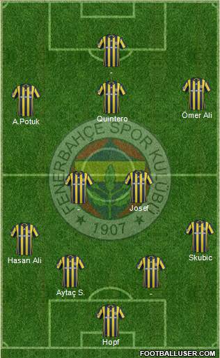 Fenerbahçe SK Formation 2017