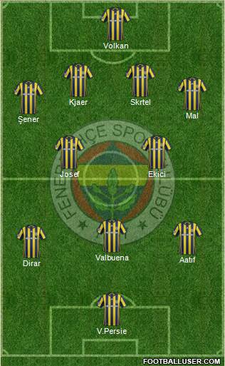 Fenerbahçe SK Formation 2017