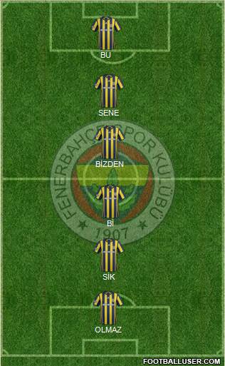 Fenerbahçe SK Formation 2017
