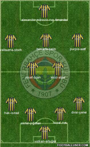 Fenerbahçe SK Formation 2017