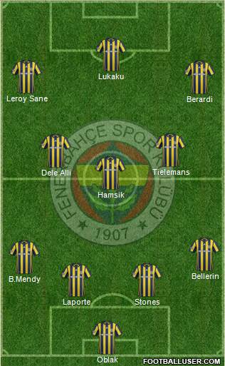 Fenerbahçe SK Formation 2017