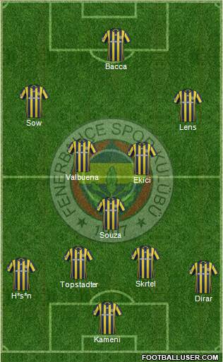 Fenerbahçe SK Formation 2017