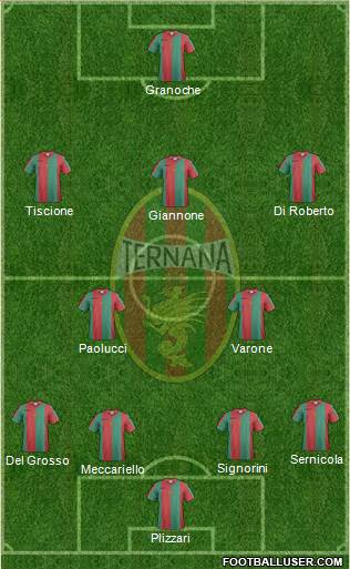 Ternana Formation 2017