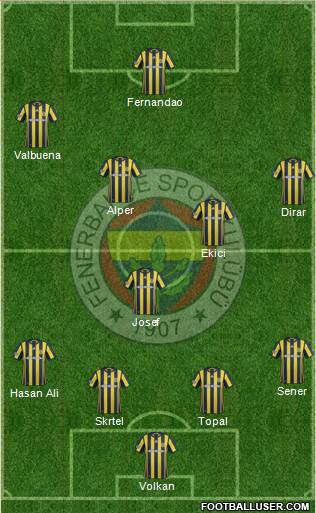 Fenerbahçe SK Formation 2017