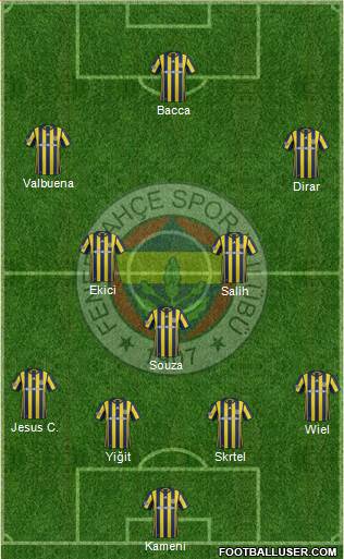 Fenerbahçe SK Formation 2017