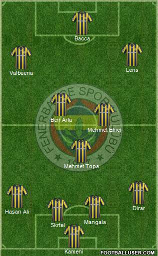 Fenerbahçe SK Formation 2017
