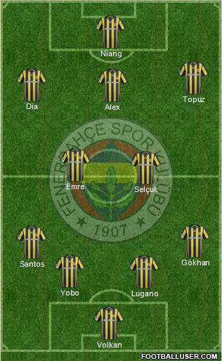Fenerbahçe SK Formation 2017