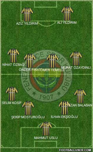 Fenerbahçe SK Formation 2017