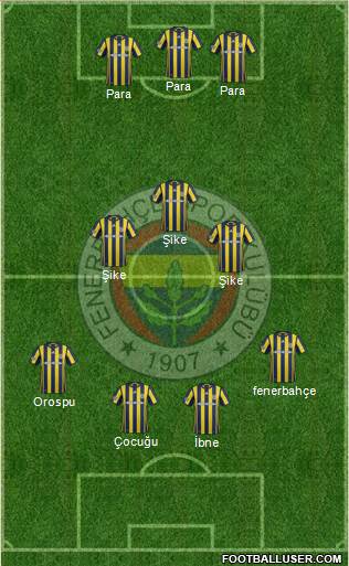 Fenerbahçe SK Formation 2017