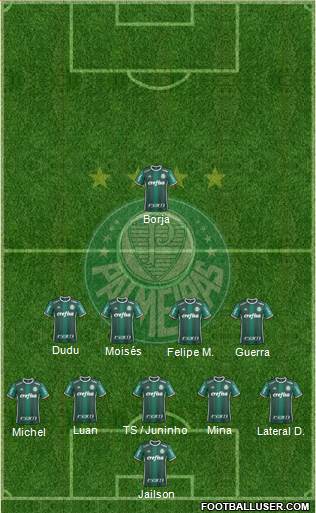 SE Palmeiras Formation 2017