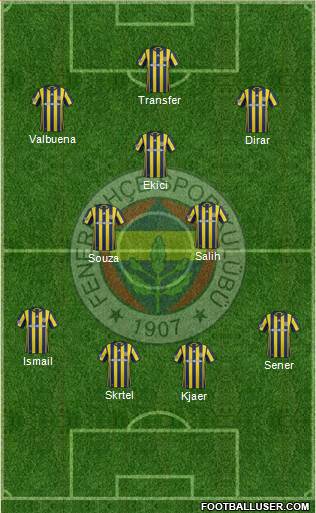 Fenerbahçe SK Formation 2017