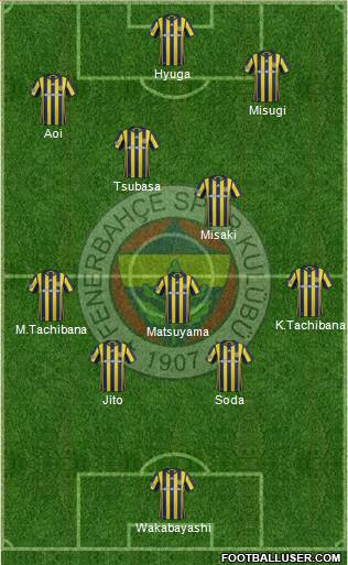 Fenerbahçe SK Formation 2017