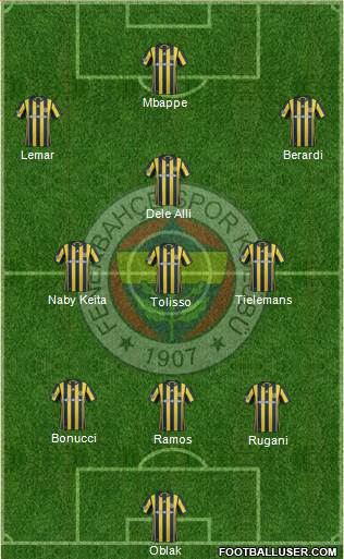 Fenerbahçe SK Formation 2017