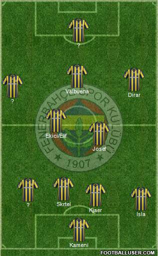 Fenerbahçe SK Formation 2017