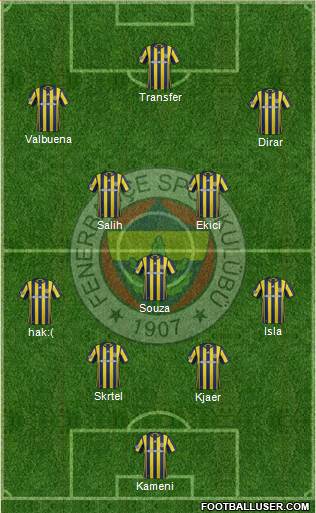 Fenerbahçe SK Formation 2017
