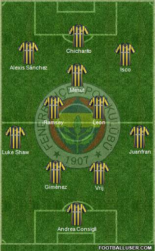 Fenerbahçe SK Formation 2017