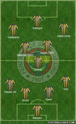 Fenerbahçe SK Formation 2017