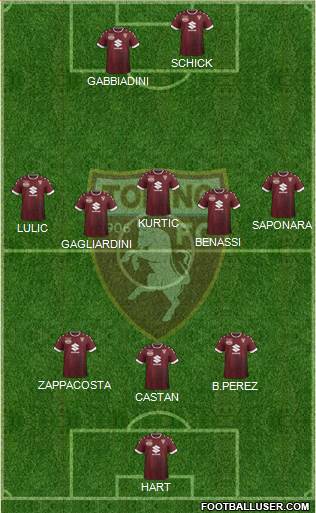 Torino Formation 2017