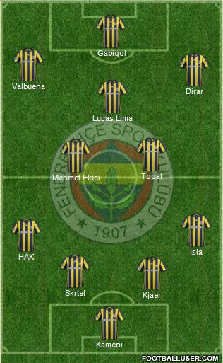 Fenerbahçe SK Formation 2017