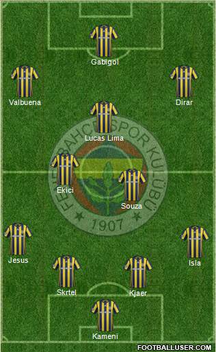 Fenerbahçe SK Formation 2017