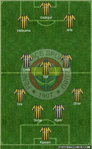 Fenerbahçe SK Formation 2017