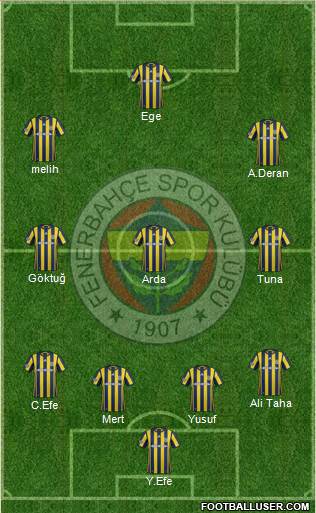 Fenerbahçe SK Formation 2017