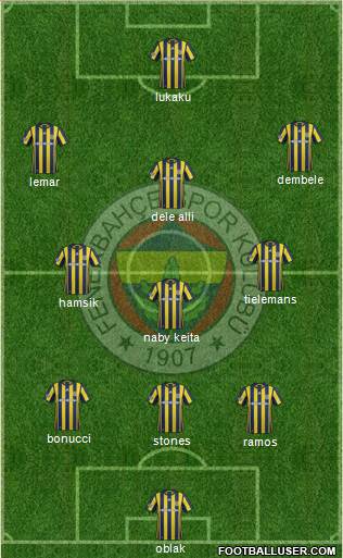Fenerbahçe SK Formation 2017