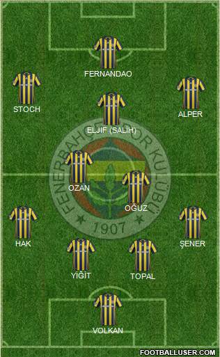Fenerbahçe SK Formation 2017