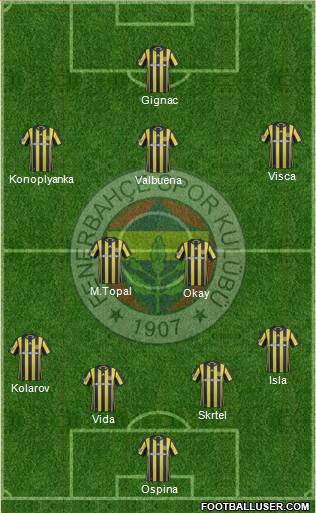 Fenerbahçe SK Formation 2017