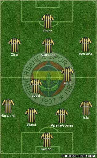 Fenerbahçe SK Formation 2017