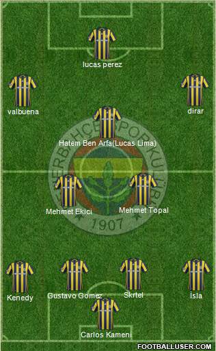 Fenerbahçe SK Formation 2017