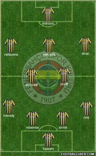 Fenerbahçe SK Formation 2017