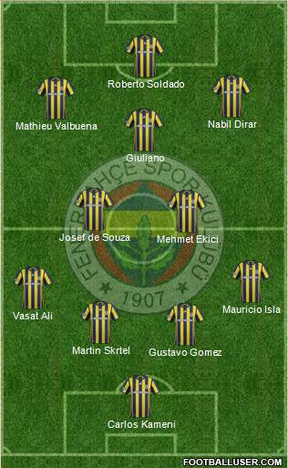 Fenerbahçe SK Formation 2017