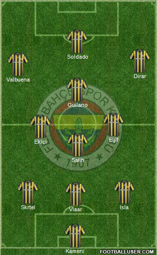 Fenerbahçe SK Formation 2017