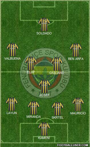Fenerbahçe SK Formation 2017