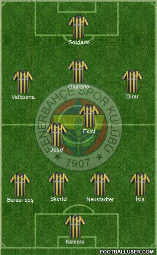 Fenerbahçe SK Formation 2017