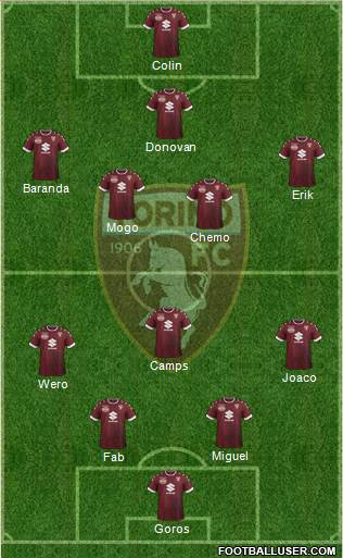 Torino Formation 2017