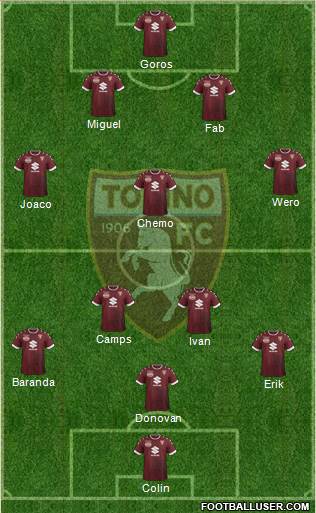 Torino Formation 2017