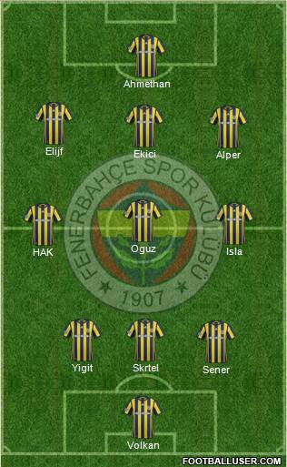 Fenerbahçe SK Formation 2017