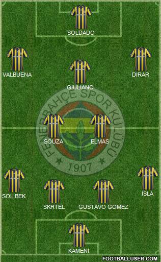 Fenerbahçe SK Formation 2017