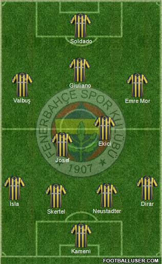 Fenerbahçe SK Formation 2017