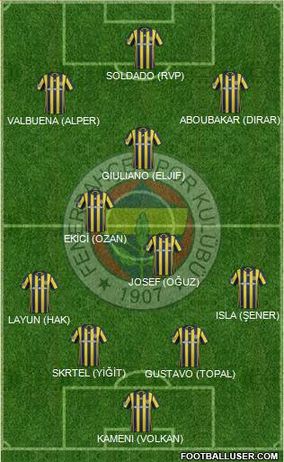 Fenerbahçe SK Formation 2017