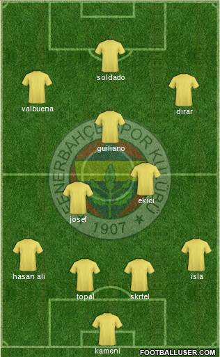 Fenerbahçe SK Formation 2017