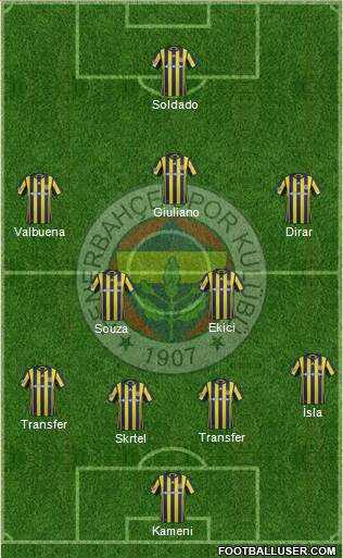 Fenerbahçe SK Formation 2017