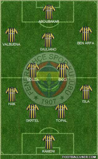 Fenerbahçe SK Formation 2017
