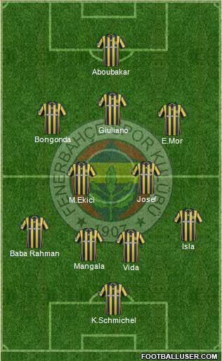 Fenerbahçe SK Formation 2017